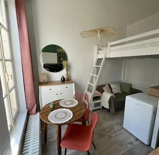 Au Coeur Du Centre Historique, Vue Unique דירה קאין